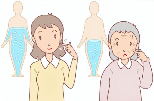 年齢による体水分率の差 体水分率,年齢,若年層,高齢層,加齢,水分低下,健康体,健康,女性,人物のイラスト素材