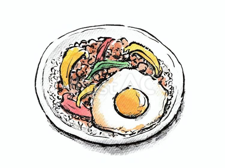 目玉焼きをのせたガパオライス ガパオライス,食べ物,料理のイラスト素材