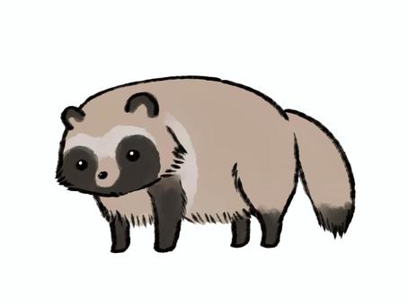 たぬき たぬき,タヌキ,狸,動物,哺乳類,動物園,かわいい,墨絵風,水彩風,手書きのイラスト素材
