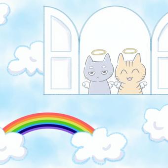 お空の窓から見守る猫（カラー） 猫,かわいい,ペットロス,手描き,挿絵,ワンポイント,デフォルメ,ゆるい,笑顔,三白眼のイラスト素材