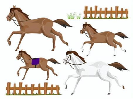 Illustration, horse, brown hair, white horse, 