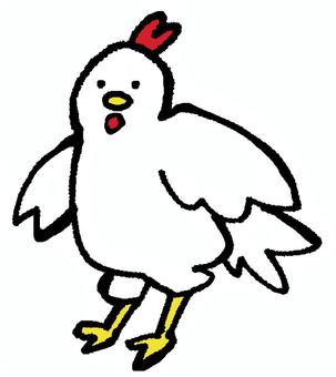 にわとり 鶏,鳥,肉,鶏肉,精肉,肉屋,スーパーマーケット,玉子,卵,羽のイラスト素材