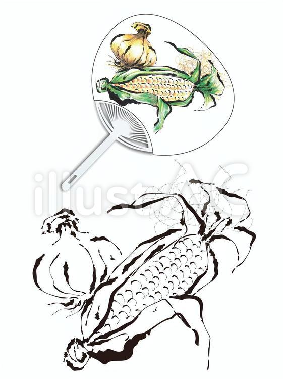 うちわとうもろこしぬりえ/色鉛筆着色 夏,ぬりえ,玉葱のイラスト素材