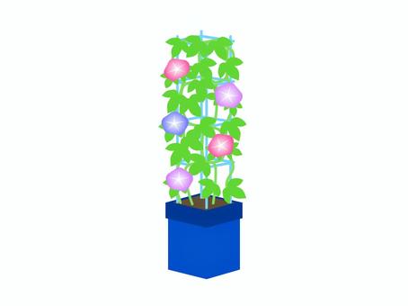 朝顔の栽培キット 朝顔の栽培キット アサガオ,花,植物,風物詩,夏,プランター,葉っぱ,育てる,植える,アイコンのイラスト素材