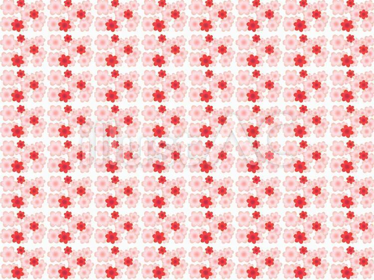 細かい花、赤とピンク 花,背景,ピンクのイラスト素材