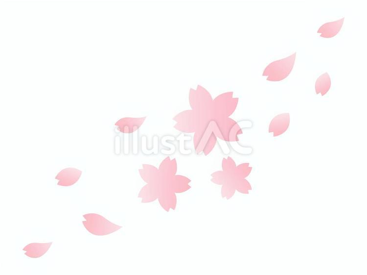 舞い散る桜のイラスト 桜,さくら,サクラのイラスト素材