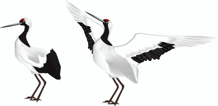 鶴　鳥　鳥類　水鳥　羽ばたく, кран, птица, птицы, JPG, PNG and AI