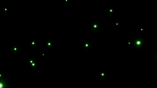 緑の光が浮ぶファンタジックなエフェクト 光,エフェクト,粒,暗闇,背景,ファンタジー,壁紙,デザイン,イラスト,綺麗のイラスト素材