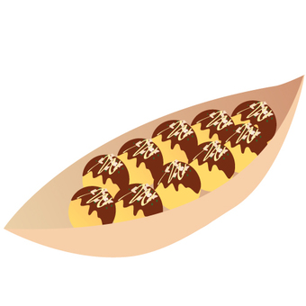 Takoyaki plate, JPG, PNG and AI Takoyaki plate, takoyaki, octopus, osaka specialty, JPG, PNG and AI