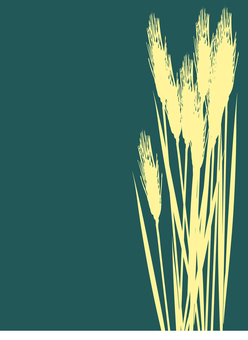 小麦色の麦穂シルエット ２色 026 麦穂,小麦色,リアル,シルエット,ツートーン,ナチュラル,お洒落,自然,植物,大人っぽいのイラスト素材