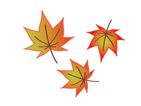 グラデーション紅葉