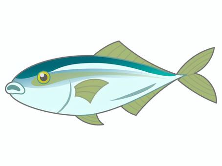 ブリイラスト 無料イラストなら イラストac
