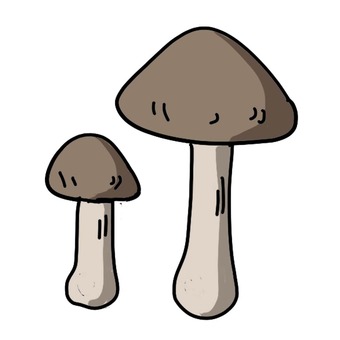 きのこ 秋,食べ物,きのこ,シンプル,食用のイラスト素材