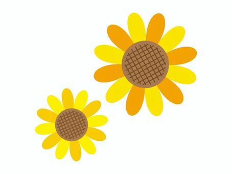 Sunflower illustration, sunflower, summer, tiny, JPG, PNG and AI