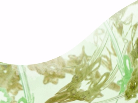 淡彩ステンドグラスgreen 03 光,淡色,レトロ,透明感,ステンドグラス,グラデーション,淡彩,風,空気感,ノスタルジックのイラスト素材