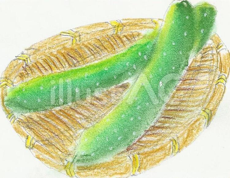 きゅうり 夏野菜,もろきゅうのイラスト素材
