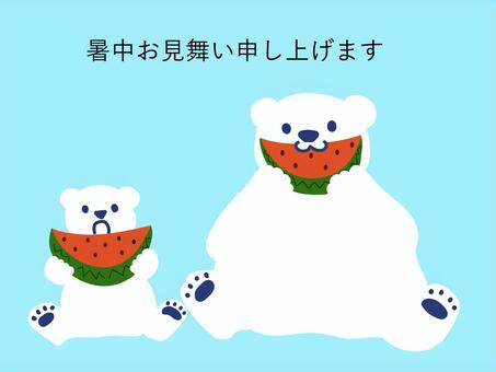 暑中見舞いスイカ食べるシロクマ シロクマ,動物,ホッキョクグマ,スイカ,果物,夏,7月,8月,暑中見舞い,食べるのイラスト素材