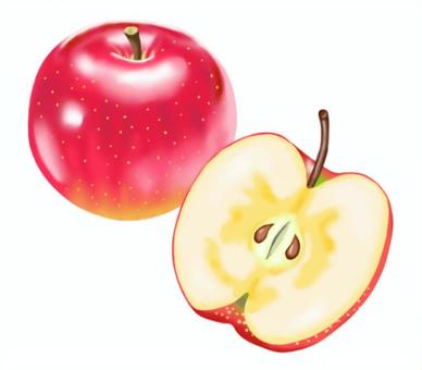 リンゴのイラスト　丸ごととカット（半割） りんご,赤,カット,半分,くだもの,食べ物,フルーツ,果実,新鮮,八百屋のイラスト素材