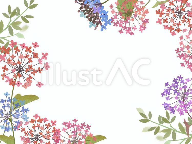 あじさい 花,紫陽花,ポストカードのイラスト素材