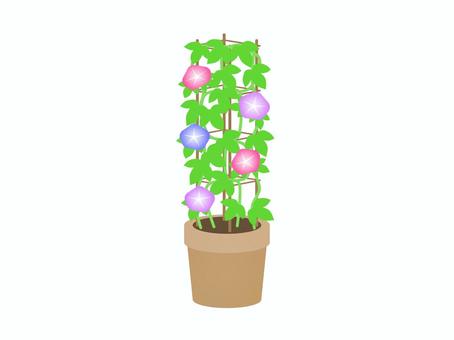 朝顔の鉢 朝顔の鉢 アサガオ,花,植物,風物詩,夏,プランター,葉っぱ,育てる,植える,アイコンのイラスト素材