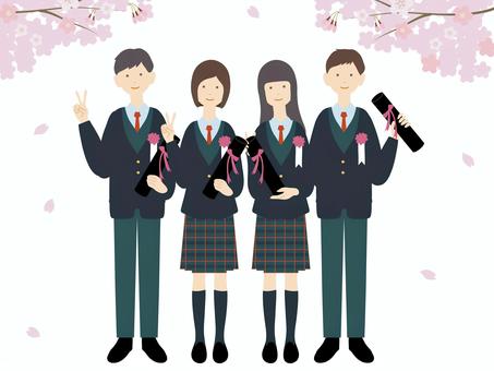 卒業式　並んでポーズをとる男女学生　桜 卒業式,卒業,人物,制服,男女,学生,高校生,桜,春,記念写真のイラスト素材