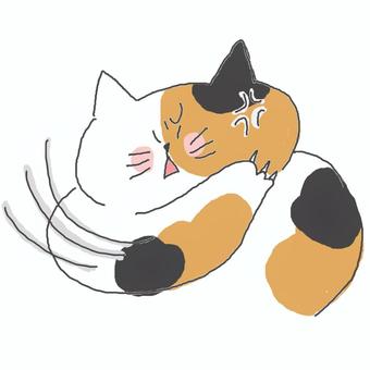 ひっかく三毛猫ちゃん 三毛猫,かわいい,引っ掻く,怒る,不満,不服,文句,嫌い,いや,不機嫌のイラスト素材