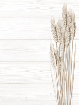 小麦色の麦穂と板の背景1　mugi021 麦穂,小麦色,リアル,ナチュラル,お洒落,自然,植物,大人っぽい,枠,背景のイラスト素材