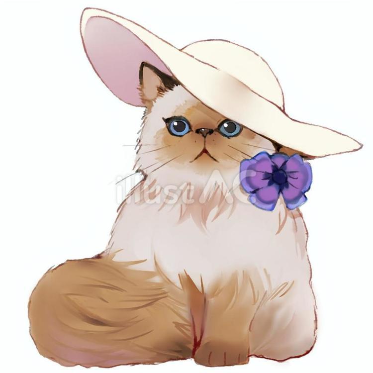 猫・２ 猫,かわいい,シャム猫のイラスト素材