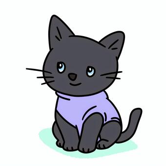 ロンパースを着た猫ちゃん 黒猫,猫,ネコ,ねこ,子猫,保護猫,野良猫,ペット,動物,術後服のイラスト素材