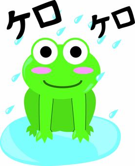 アマガエル　 アマガエル,両生類,かわいい,生き物,梅雨,降る,水たまり,鳴き声,キャラのイラスト素材