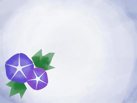 Illustration, morning glory, blue, purple, 