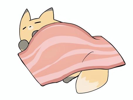 コンコン ベーコン きつね,ベーコン,食品,寝る,主線あり,ダジャレ,イメージ,動物,ゆるかわ,かわいいのイラスト素材
