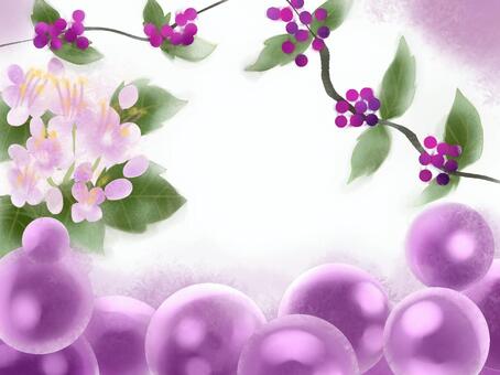 Illustration, JPG and PNG Illustration, flower, real, murasaki shikibu, JPG and PNG