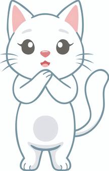 緊張する白猫 猫,白猫,動物,生き物,ペット,保護猫のイラスト素材