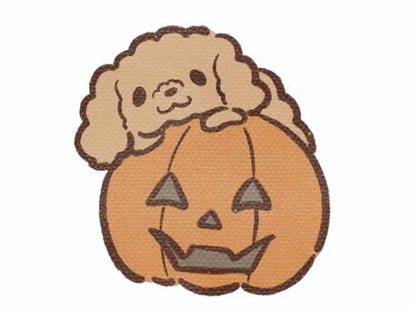 手描き風かぼちゃとトイプードル 犬,ジャックオランタン,ハロウィン,秋,10月,イベント,行事,パーティ,トイプードル,動物のイラスト素材