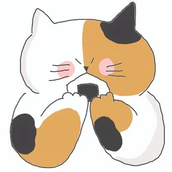 おにぎりを食べる三毛猫ちゃん♪ かわいい,おにぎり,おむすび,白米,米,食事,ごはん,食べる,三毛猫,どうぶつのイラスト素材