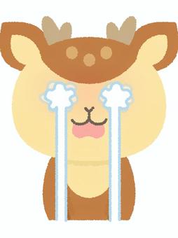 鹿号泣 鹿,号泣,泣く,涙,感動,感涙,悲しい,辛い,ショック,バンビのイラスト素材