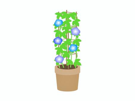 朝顔の鉢 朝顔の鉢 アサガオ,花,植物,風物詩,夏,プランター,葉っぱ,育てる,植える,アイコンのイラスト素材