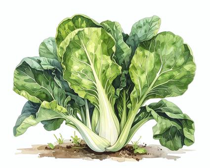 チンゲンサイ　野菜　AI生成画像  