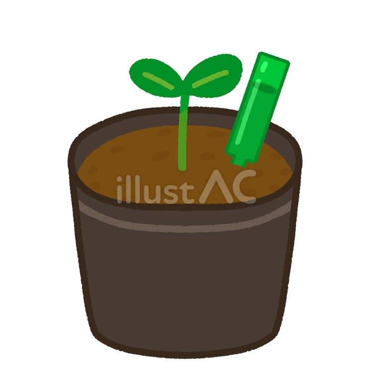 栄養剤のささったポットの苗 ポット,植物,苗のイラスト素材