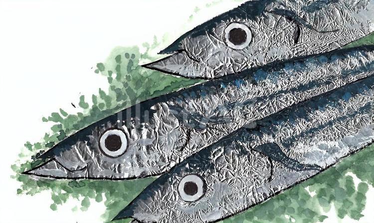 サンマ（秋刀魚） サンマ,魚,海水魚のイラスト素材