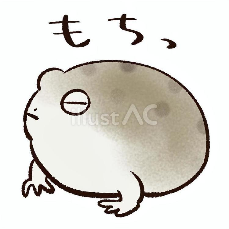 アメフクラガエル１ アメフクラガエル,フクラガエル,カエルのイラスト素材