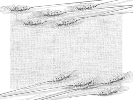 白黒の麦穂と麻布の背景　migi005 麦穂,白黒,リアル,ナチュラル,お洒落,自然,植物,大人っぽい,枠,背景のイラスト素材