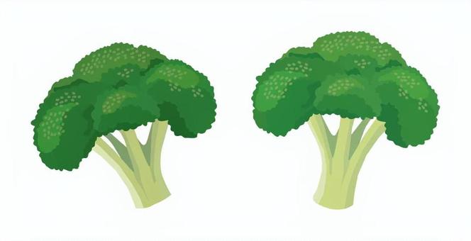 ブロッコリー2 ブロッコリー,野菜,食べ物,食材,栄養,新鮮,植物,八百屋,家庭菜園,畑のイラスト素材