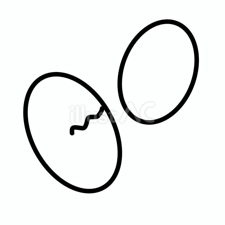 卵 ゆで卵,卵,タマゴのイラスト素材