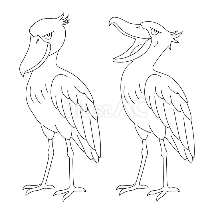 ハシビロコウの静止と躍動の2形態 ハシビロコウ,鳥類,動物のイラスト素材
