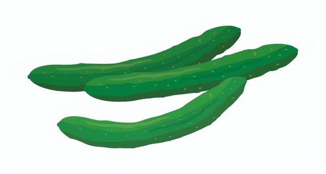 きゅうり_夏野菜3 きゅうり,夏野菜,野菜,緑色,新鮮,食材,家庭菜園,農業,自然,みずみずしいのイラスト素材