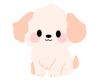 お座りしているかわいい犬のイラスト 犬,イヌ,かわいい,たれ耳,シーズー,アメリカンコッカースパニエル,小型犬,正面,おすわり,前のイラスト素材