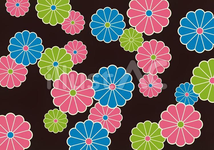 伝統模様_菊の模様柄 伝統,模様,菊のイラスト素材