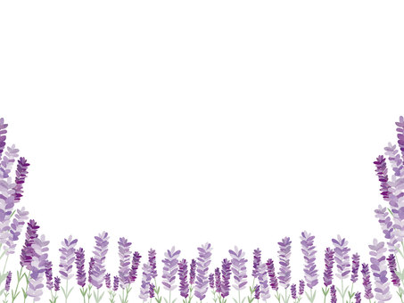 Lavender field frame 3, JPG, PNG and AI Lavender field frame 3, , JPG, PNG and AI